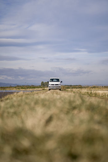 White van driving through the rice field