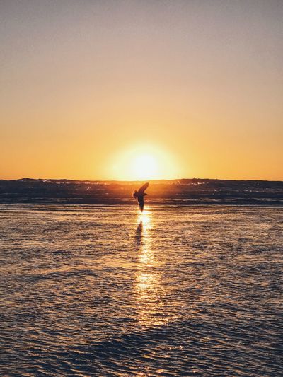 Silhouette person standing in sea against sky during sunset