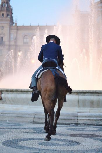 Rear view of man riding horse towards fountain