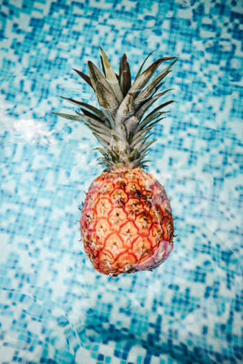 Directly above shot of pineapple floating on swimming pool