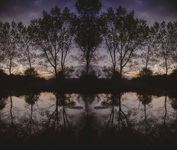 Silhouette trees by lake against sky at sunset