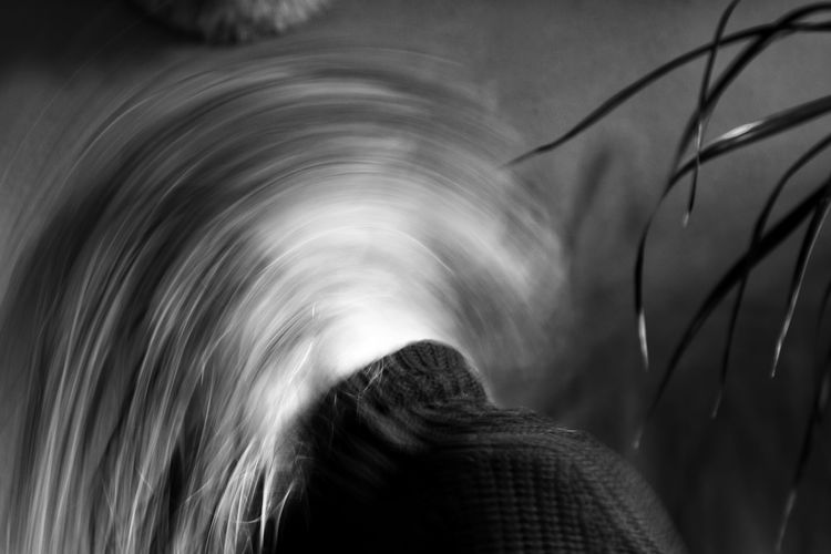 Close-up of person standing against plants
