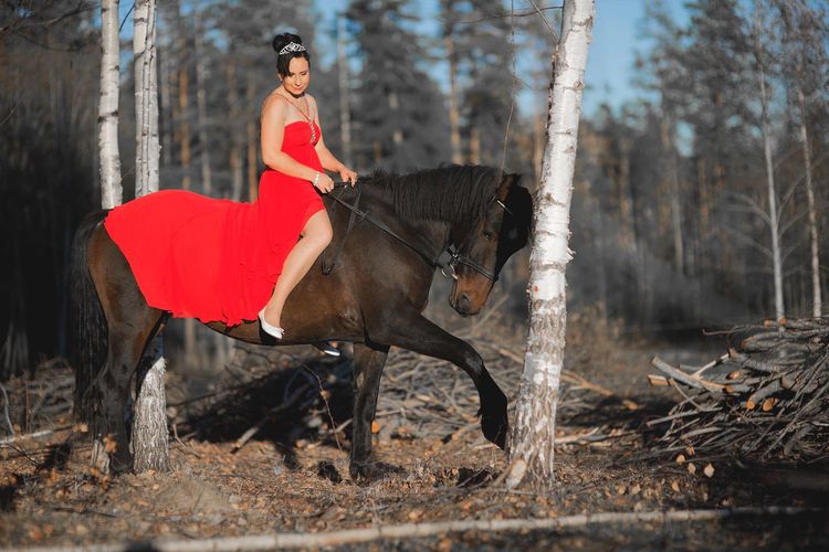 A young woman wearing a red dress rides a horse in the evening in the soft sunlight
