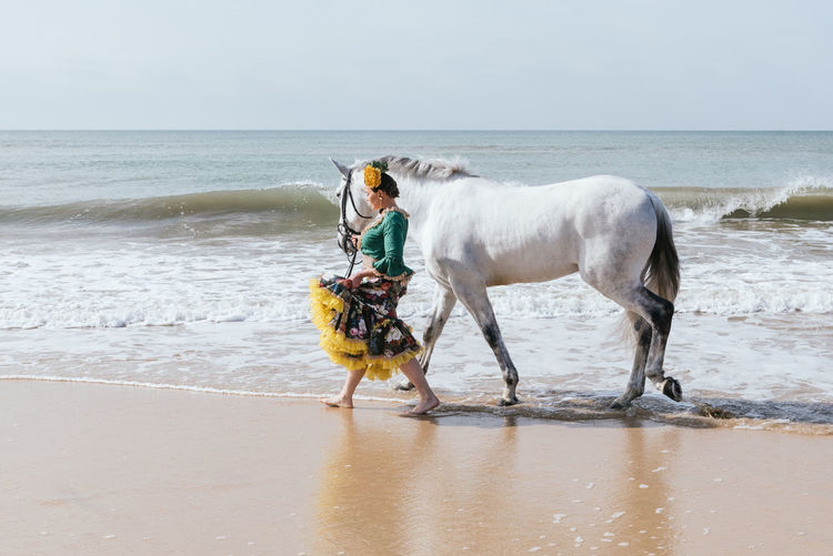 Horse standing at beach