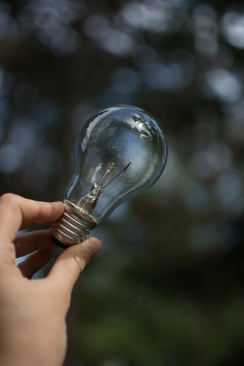 Close-up of hand holding electric bulb
