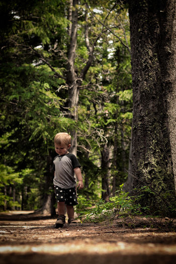 Full length of boy looking at forest