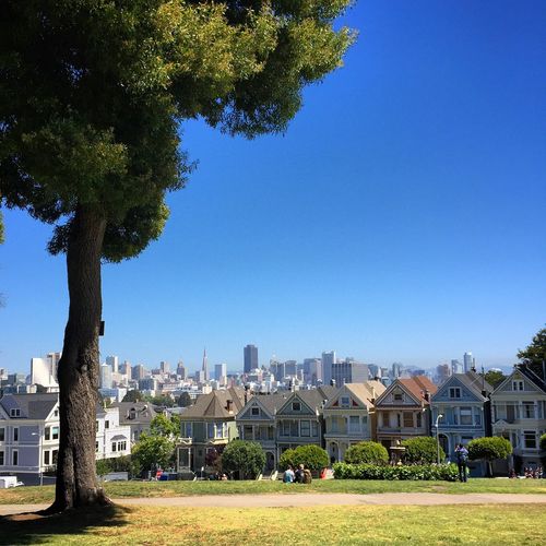 Houses against clear sky in alamo square