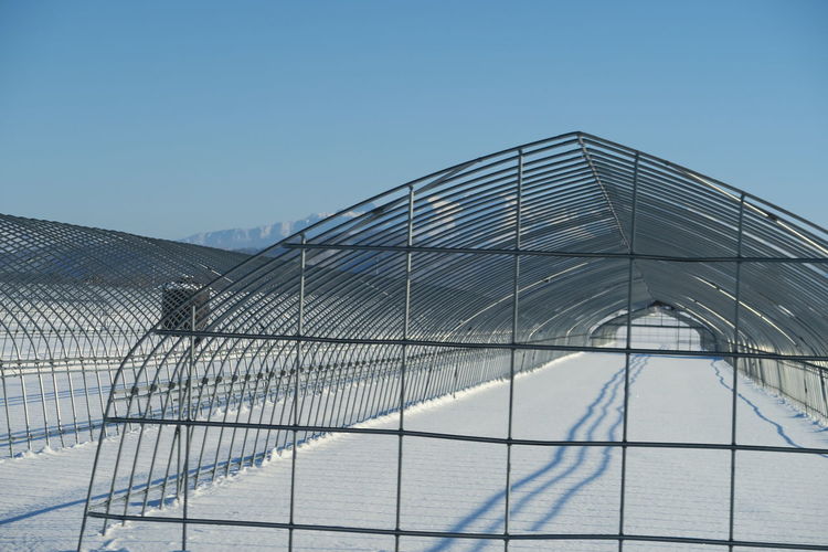 Low angle view of greenhouse against clear blue sky