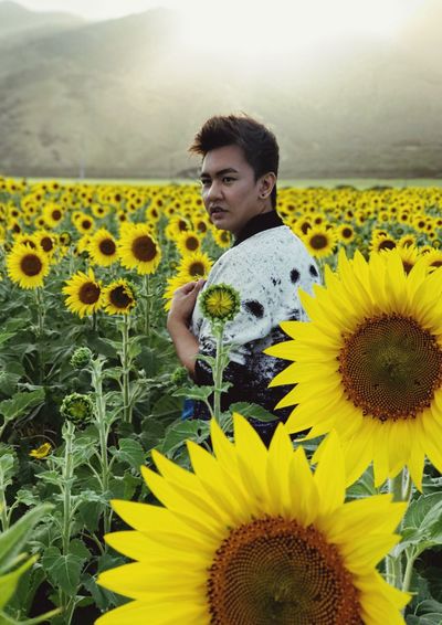 Young man looking away while standing amidst sunflower field