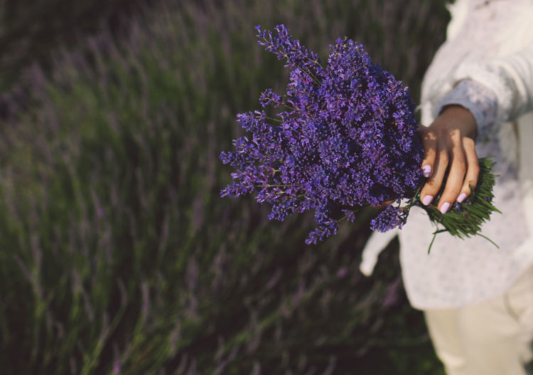 Midsection of woman holding lavender bouquet on field