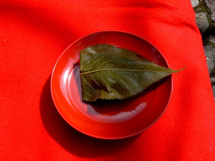 Japanese sweet on red background