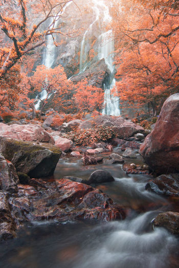 River flowing through rocks in forest during autumn