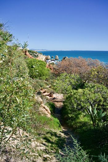 Scenic view of sea against clear blue sky