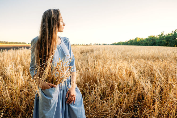 Ukrainian young woman holding wheat crop on field during sunny day. faceless portrait of