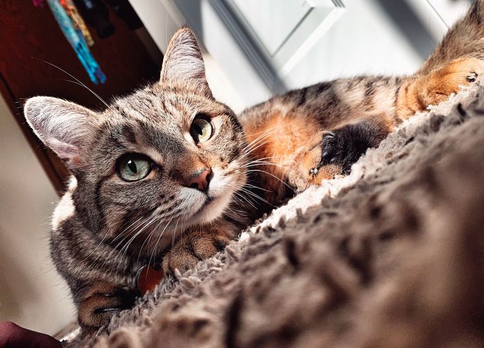 50 Scared Pictures Hd Download Authentic Images On Eyeem