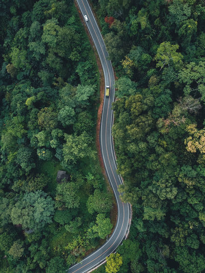 High angle view of road amidst trees in forest