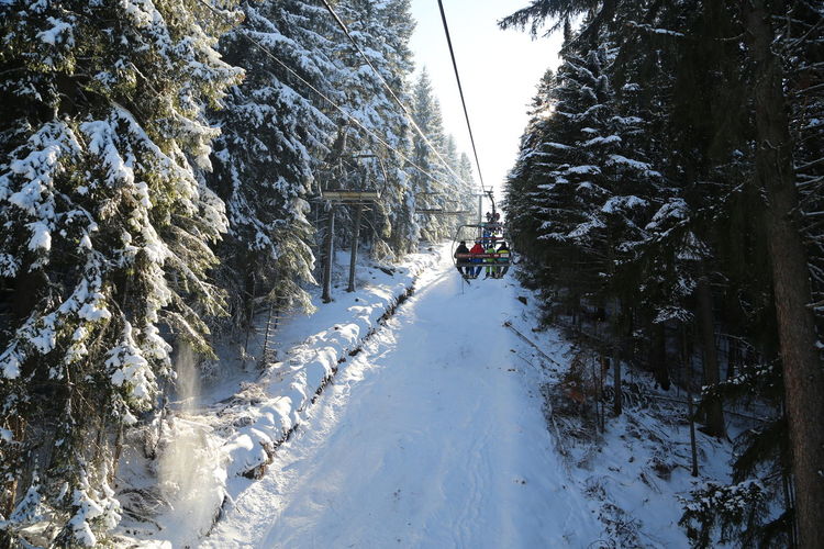 People sitting in ski lift over snow covered field amidst trees