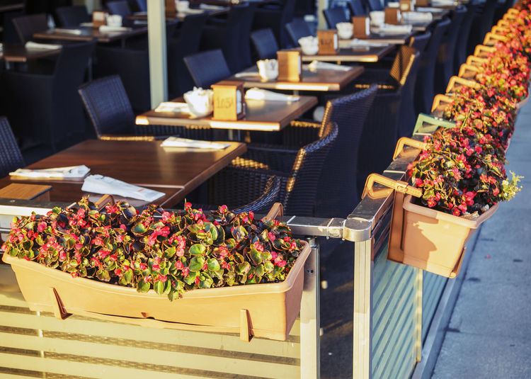 High angle view of potted plants by tables and chairs at restaurant