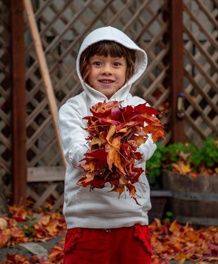 Portrait of cute girl holding leaves standing outdoors during autumn