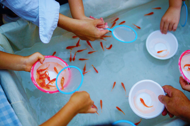 Cropped hands of people holding goldfish in bowl