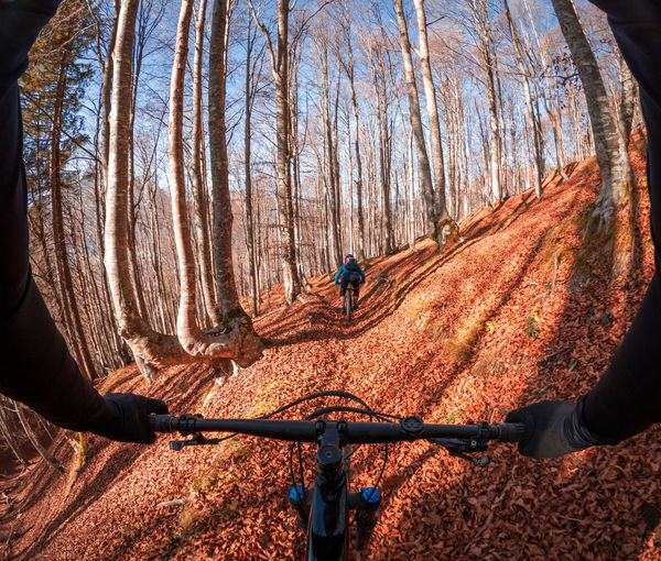 Pov gopro mountain biking in fall foliage