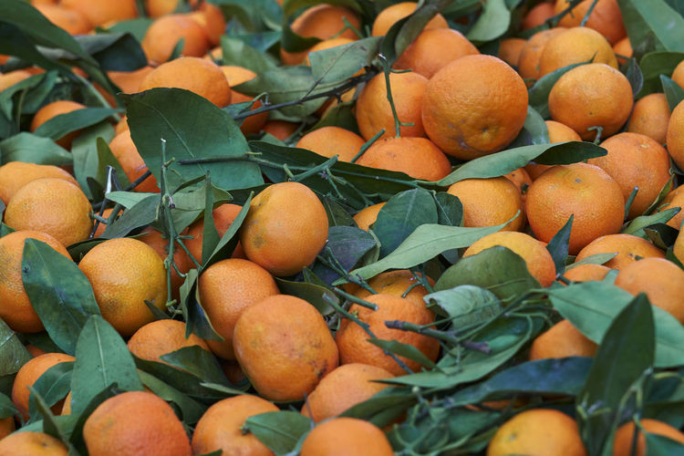 Tangerine at market