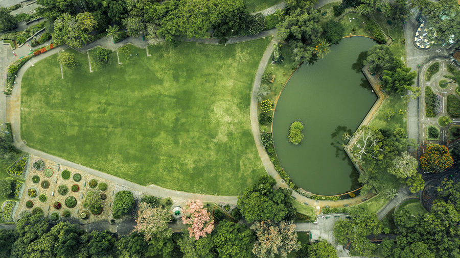 Aerial view of pond at park