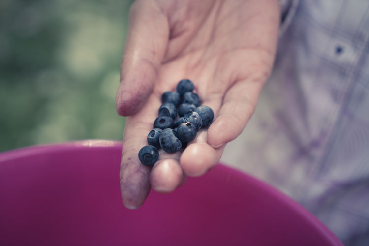 Cropped hand holding blueberries over bucket