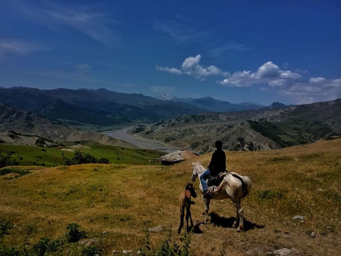Horse grazing on landscape against mountain range