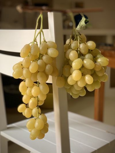 Low angle view of grapes hanging from plant at home