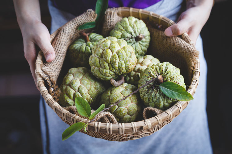 Midsection of woman holding custard apples in basket