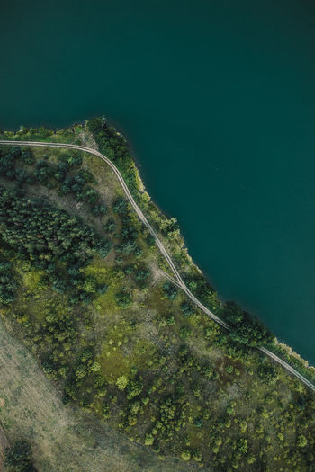 Aerial view of trees at lakeshore