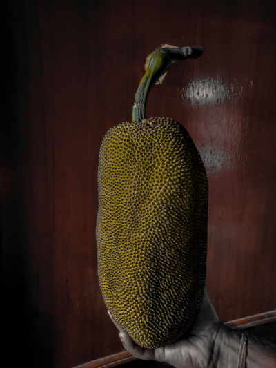 Close-up of fruits hanging on metal wall