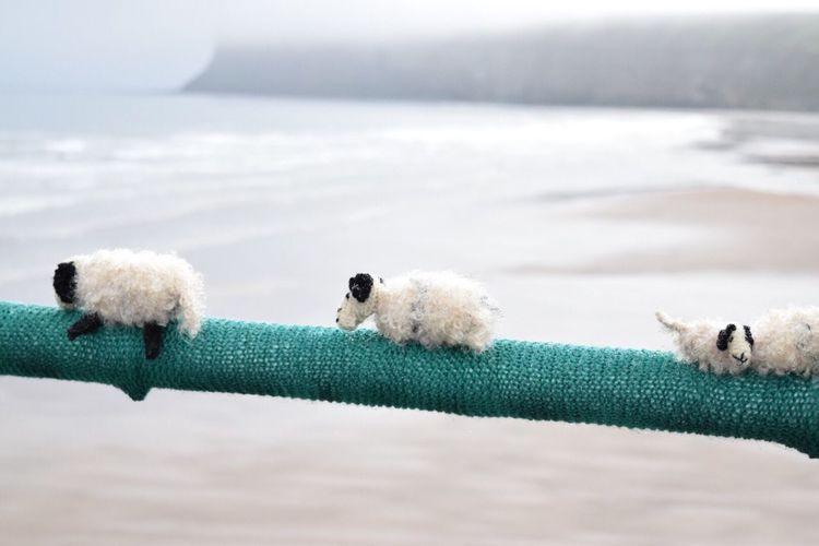 Stuffed toys on railing against sea