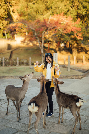 Full length portrait of young woman feeding deers in nara