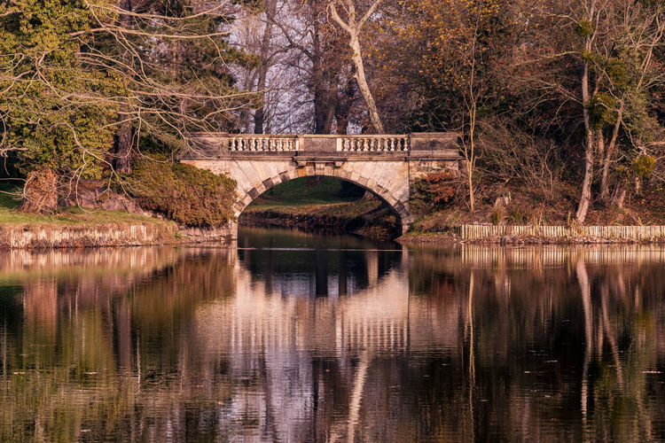 Arch bridge over river against trees
