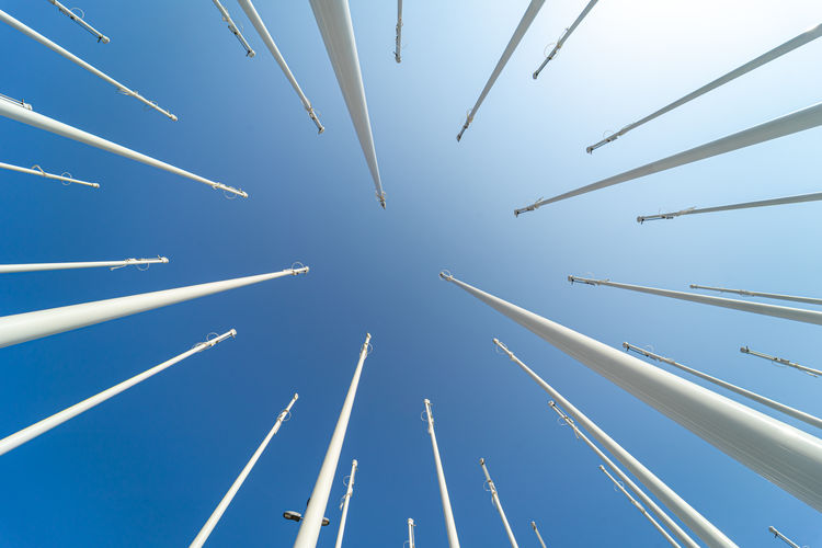 Low angle view of palm tree