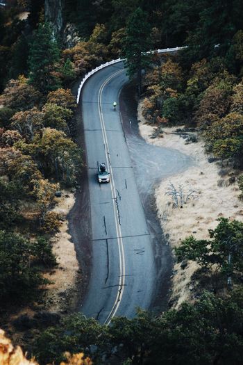 High angle view of road passing through forest