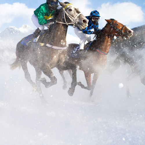 People riding horses on snow covered land