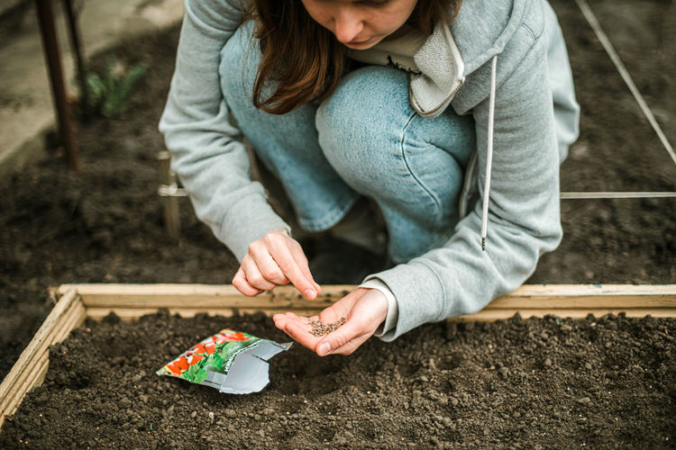 Gardener sowing seeds in a vegetable bed