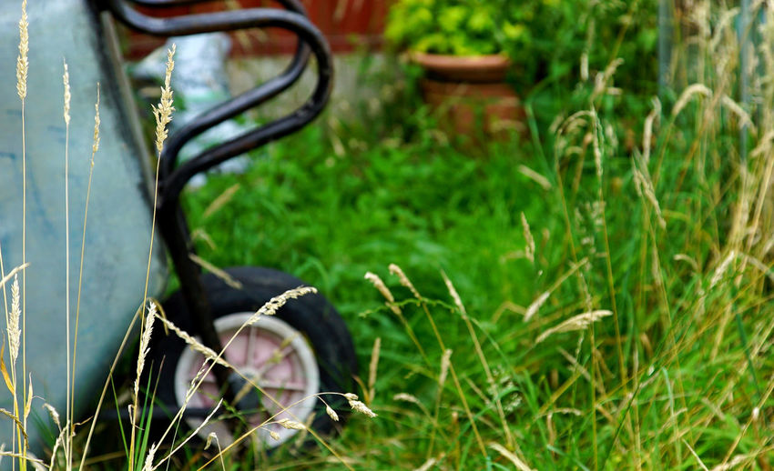 Close-up of motorcycle on grass