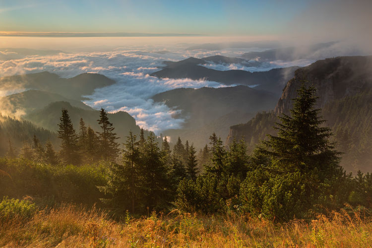 Morning landscapes from ceahlau mountain, romania.