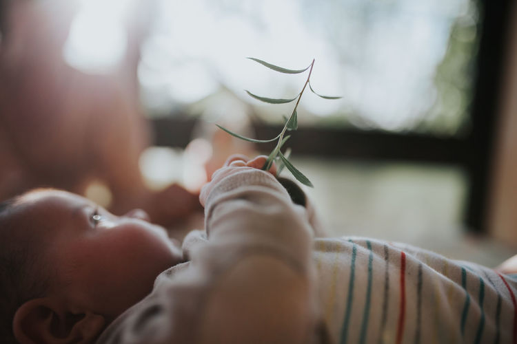 Close-up of baby girl holding plants