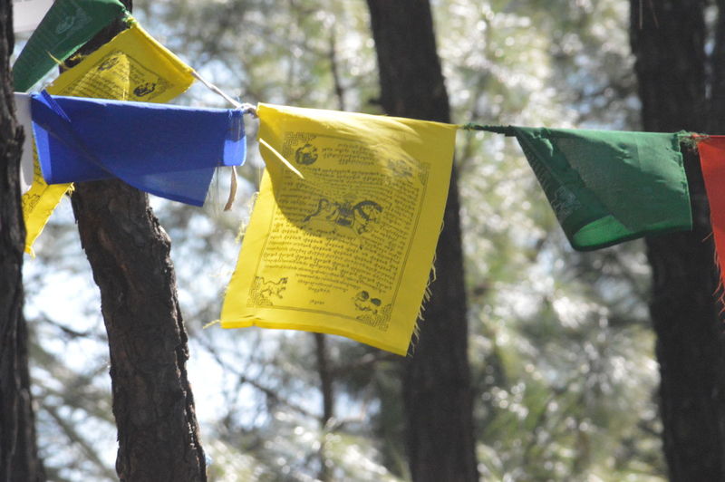 Prayer flags