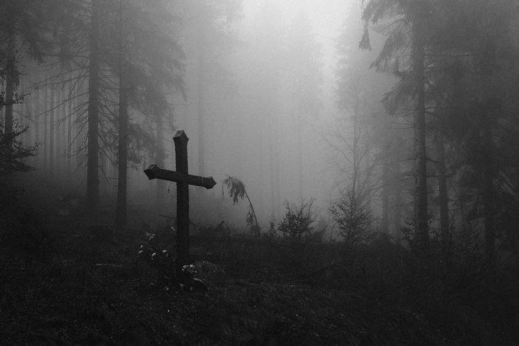 View of cross on land in foggy weather