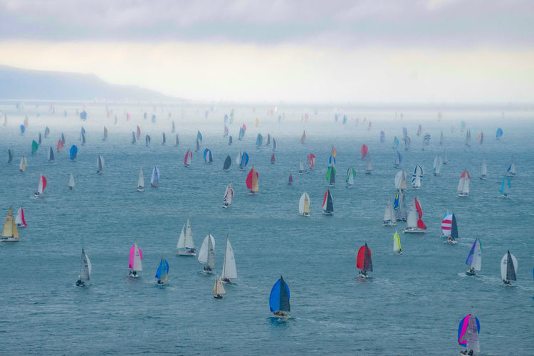 Panoramic view of sailboats in sea 