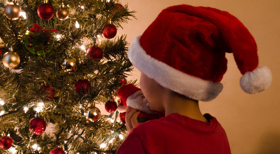 Rear view of boy wearing santa hat against christmas tree