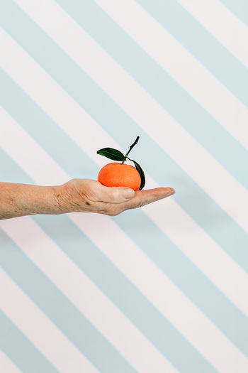 Senior female hand holding a tangerine fruit. third age ealthy food and lifestyle concept