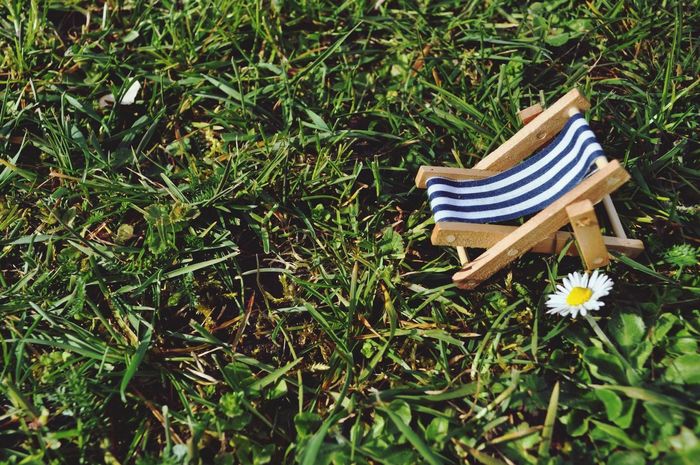 Toy deck chair on grass