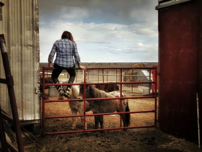 Rear view of girl sitting on gate at ranch